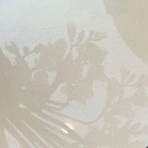 Meet your Posher, Dean